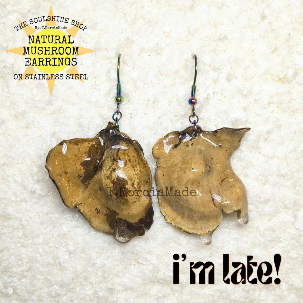I'm Late! Natural Mushroom Earrings
